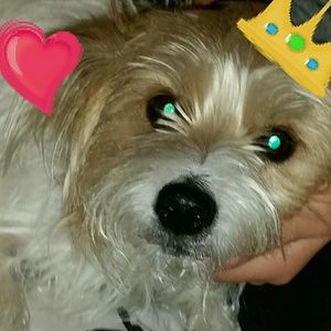 Meet your Posher, April